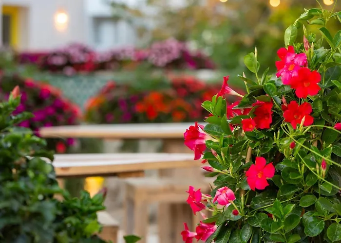 Dunas Luxury 营地 *